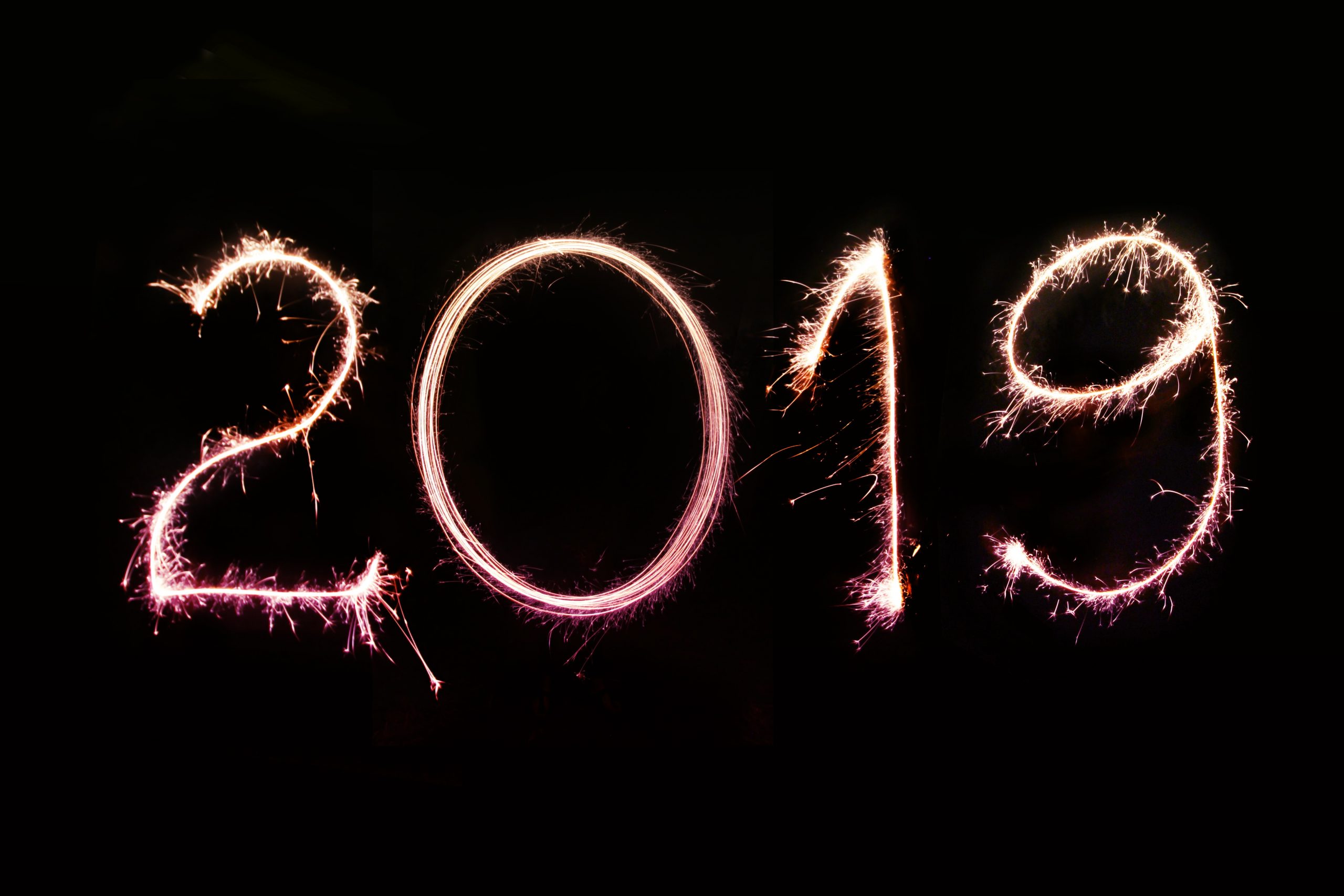 我的 2019