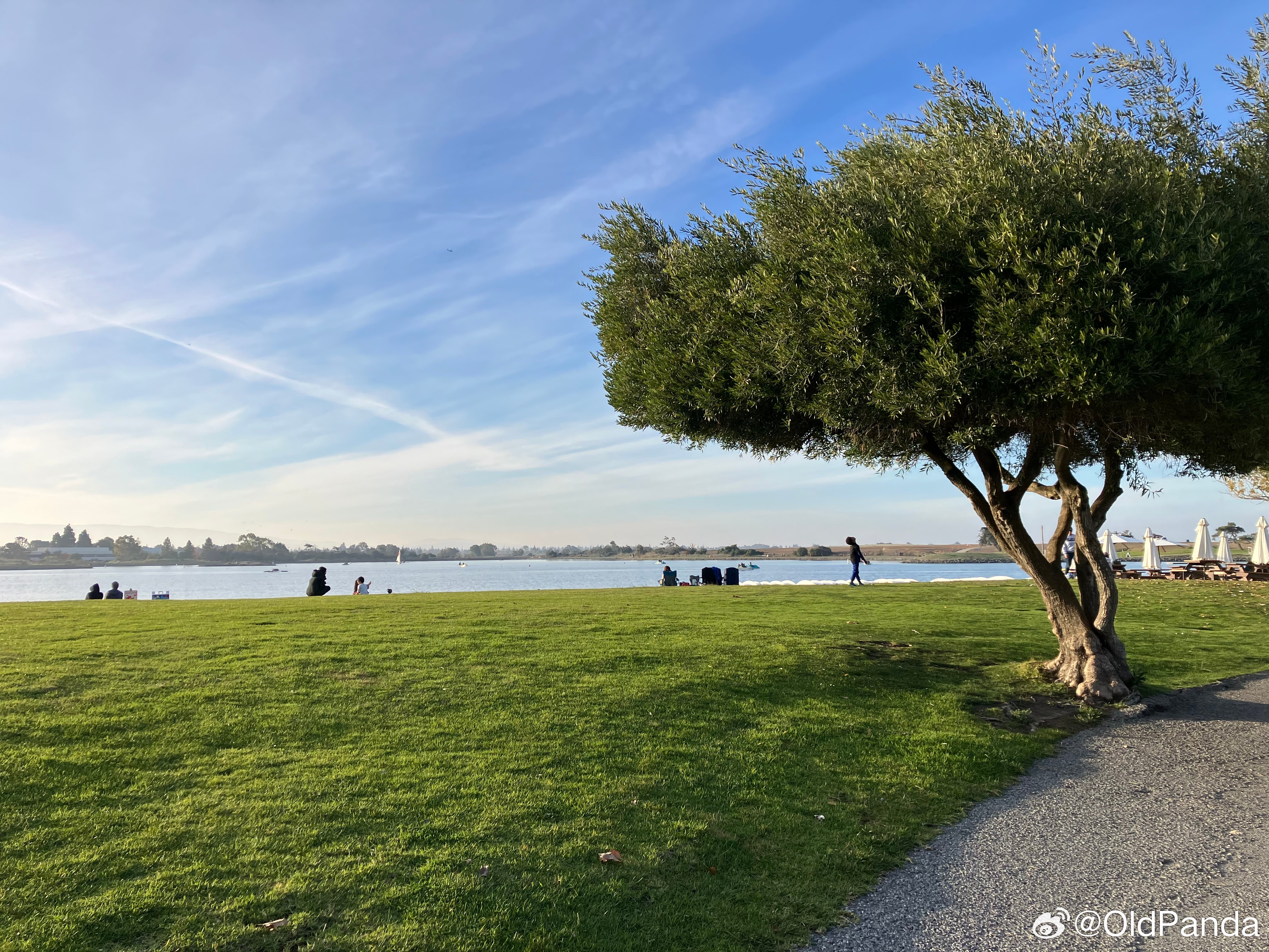 Shoreline Park